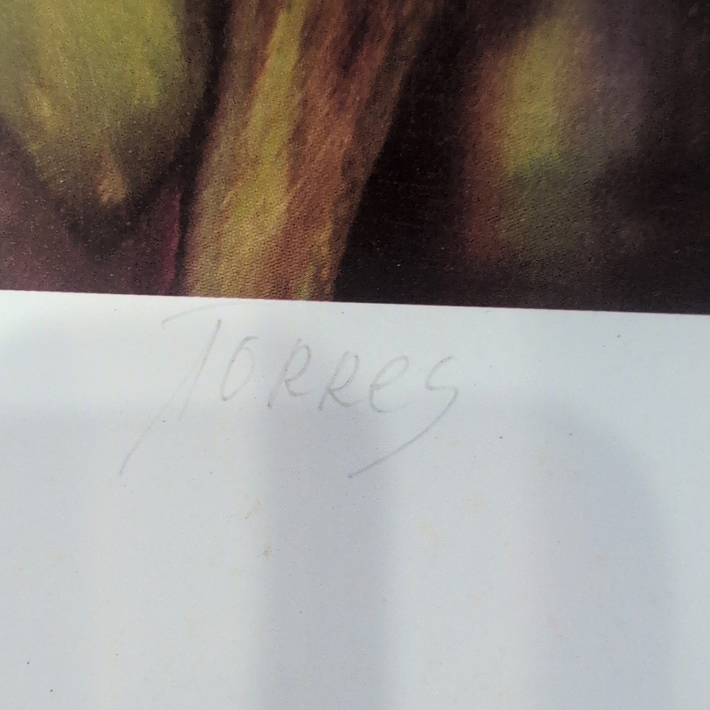 Sonia Torres Butterfly White Orchids‎ Dendrobium Artist Print Signed Limited Ed - Picture 7 of 8